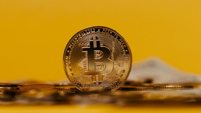 Ark Invest's Cathie Wood Predict Bitcoin To Hit $1.5 Million bitcoin