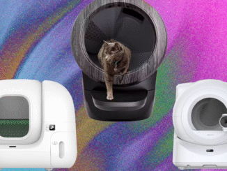 8 Best Automatic Litter Boxes (2025), Tested and Reviewed