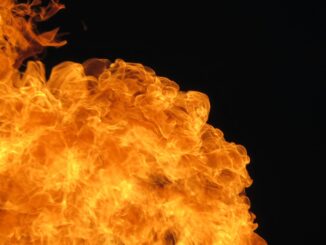 Can It Change The SHIB Price Trajectory?