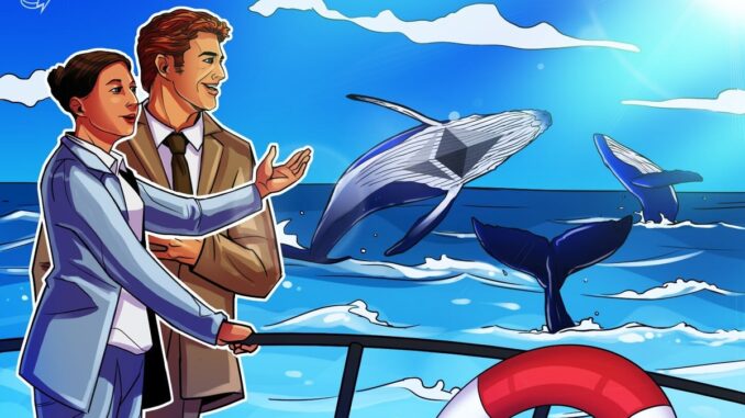 Ethereum whales post strongest net buying since 2018