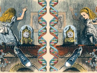 How the Universe and Its Mirrored Version Are Different
