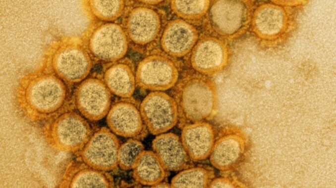 New COVID variant swiftly gains ground in US; concern looms New COVID variant swiftly gains ground in US; concern looms for summer wave