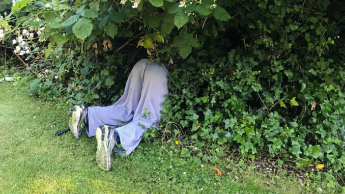 Photo of a very poor hiding spot.