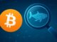80K Bitcoin Whale Identity Uncovered? MyBitcoin Wallets Linked To Recent Transfer