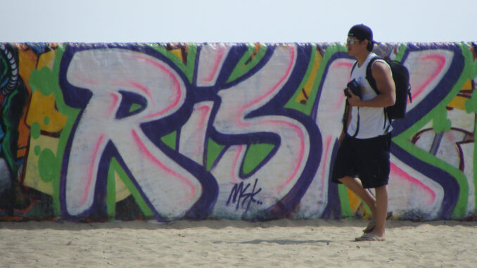 Illustrative image for article an risk from ai. "Risk - MSK" by anarchosyn is licensed under CC BY-SA 2.0.