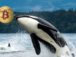 Galaxy Digital sends over 10,000 Bitcoin from Satoshi-era stash to exchanges