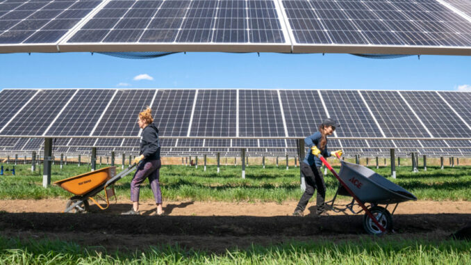 In the Southwest, solar panels in can help both photovoltaics and crops
