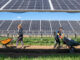 In the Southwest, solar panels in can help both photovoltaics and crops