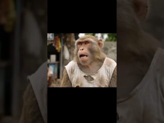 Tillu aur News Reporter Girl ||| #viral #trendingshorts #ai #monkey #aivlogger #news