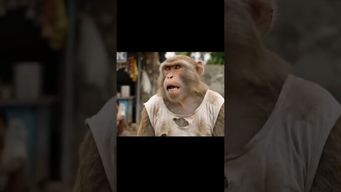 Tillu aur News Reporter Girl ||| #viral #trendingshorts #ai #monkey #aivlogger #news