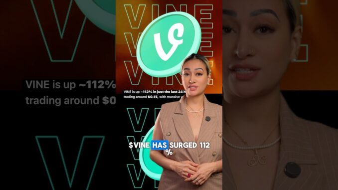 Wallet watch wednesday : $VINECOIN #crypto #VINE #cryptonews