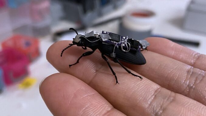Watch: Cyborg Beetles, Open Source Humanoids, More