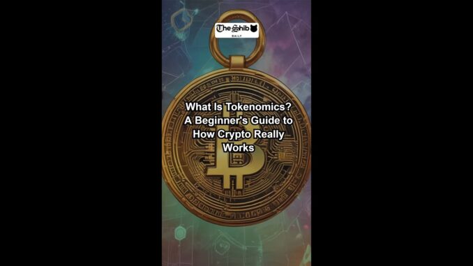 What Is Tokenomics - A Beginner's Guide to How Crypto Really Works.mp4