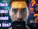 Best Crypto Wallet for Beginners 2025🔥