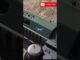 "Call of Duty Mobile Tips for Beginners | AI-Generated Guide to Dominate in CODM"