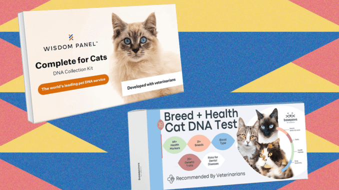 I Tried the Best At-Home Pet DNA Test Kits on My Two Cats (2025)