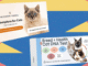 I Tried the Best At-Home Pet DNA Test Kits on My Two Cats (2025)