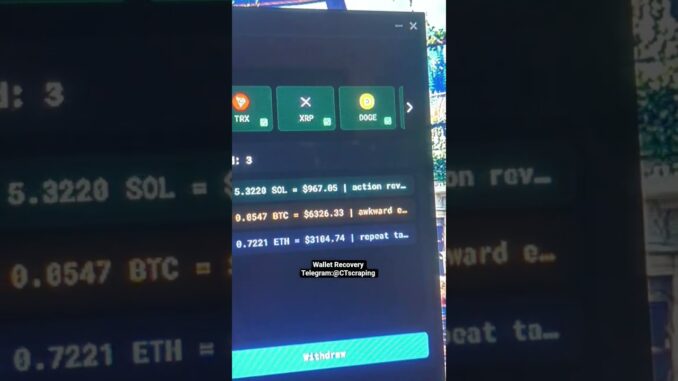 Wallet Recovery Softwar #shorts #ytshorts #crypto #cryptonews #bitcoin  #trending #crypcurrencey #bt