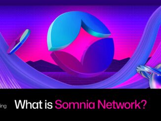 What Is Somnia? A Guide to the High-Performance Blockchain