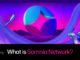 What Is Somnia? A Guide to the High-Performance Blockchain