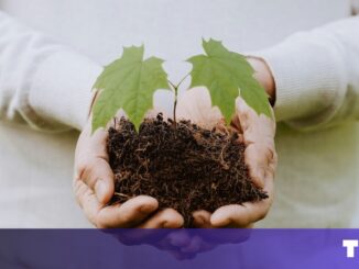 Why the climate transition is now in our hands